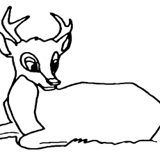 Deer and Tree Interaction: Educational Illustration on Wildlife Behavior