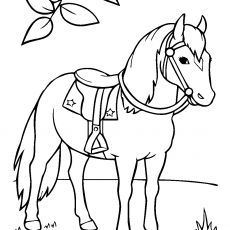 Saddle Horse Coloring Page - Educational Art Activity