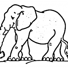 Elephant Drawing - Educational Coloring Activity