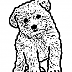 Sevimli Köpek Yavrusu Çizimi