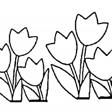 Çiçek Deseni - 5 Tulip Çiçeği ve Yaprağı