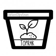 Bitki Yetiştirme Konusu: Toprak ve Bitki Gelişimi