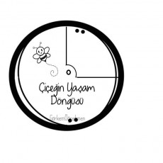 Çiçeğin Yaşam Döngüsü - Eğitim Materyali
