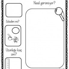 Günlük Bitki İzleme Formu - 6. Gün