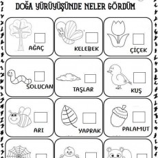 Doğa Yürüyüşünde Gözlemlenen Nesneler: Ağaç, Kelebek, Çiçek, Solucan, Taşlar, Kuş, Arı, Yaprak, Palamut, Örümcek Ağı, Örümcek, Sincap