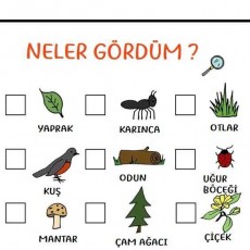 Bahçe Gezisi Gözlem Formu: Doğa ile İlgili Nesneler ve Canlılar
