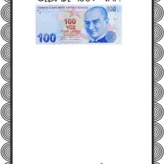 Cebimde 100 TL Var: Türk Lirası Eğitim Materyali