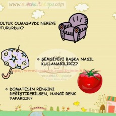 Eğitici Materyal: Koltuk, Şemsiye ve Domatesin Kullanım Alanları