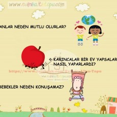 Eğitimsel Sorular: İnsanlar, Karıncalar ve Bebekler Hakkında Bilgiler