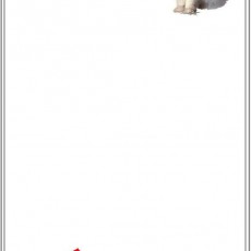 Kedi Telefonla İtfaiyeyi Arıyor: Yangın İhbarı Eğitimi