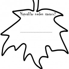 Yaprak Sararması Nedenleri Başlığı