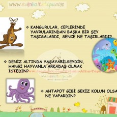 Deniz Canlıları ve Kangurular: Hayvan Arkadaşlıkları Üzerine Eğitici Etkinlik