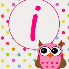 Eğitici Kart: Pink Owl with Letter I (1)