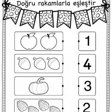Eşleştirme Etkinliği: Nesneleri Say ve Doğru Rakamlarla Eşleştir - 1 Elma, 2 Çam Kozy, 3 Balkabağı, 4 Meşe Palamudu