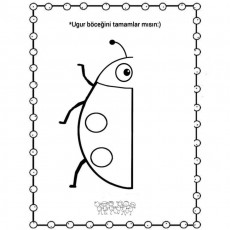 Uğur Böceği Tamamlama Etkinliği