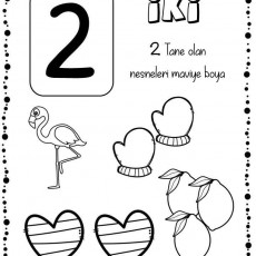 2 (İki) - Renkli Eğitim Materyali: İki Tane Nesneyi Boya (Flamingo, Eldiven, Kalp, Limon)