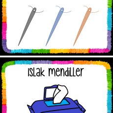 Eğitim Materyali: Plastik İğneler ve Islak Mendiller