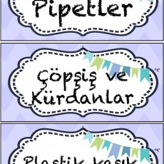 Eğitsel Materyal: Pipetler, Çöp Şiş ve Kürdanlar, Plastik Kaşık ve Çatallar