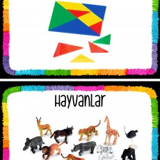 Tangram ve Hayvanlar: Eğitim için Eğitim Seti