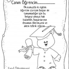 Diploma Belgesi Kesimi - Eğitim Başarı Sertifikası