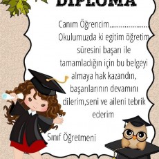 Diploma Belgesi Tasarımı – Öğrenci Başarı Sertifikası