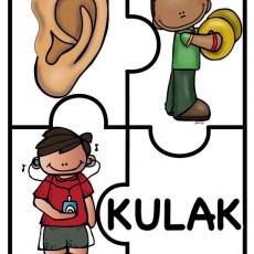 Kulak ve İşitme ile İlgili Eğitim Materyali - Sesli ve Sessiz Harfler, İnsanlar