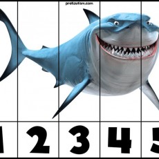Eğlenceli Köpek Balığı Görseli - 1, 2, 3, 4, 5