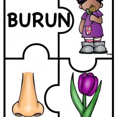 Burun - Vücut Bölümü ve Çiçek Öğretimi