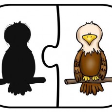 Eğitici Puzzle Görseli: Kartalda Bitiş Noktası ve Silueti