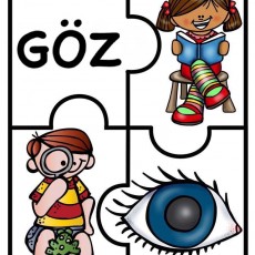 Eğitimsel Puzzle: GÖZ Konusu - Çocuklar için Göz ve Okuma Temalı Görsel