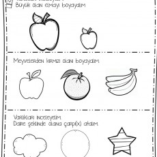 Eğitici Materyal: Meyve ve Şekil İncelemesi