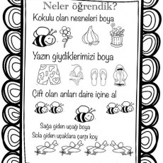 Eğitsel Boyama Aktiviteleri: Koku, Yaz Giyim ve Çift Nesneler
