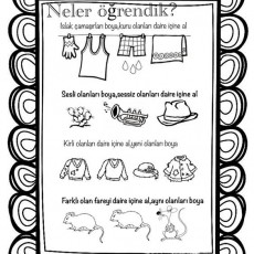 Eğitici Etkinlik: Sesli ve Sessiz Nesnelerin Ayırt Edilmesi