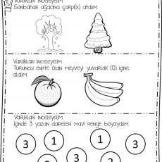 Sonbahar Ağaçları ve Meyve Tanıma Etkinliği