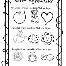 Renkleri Öğrenme Etkinliği: Kırmızı, Mavi ve Sarı Nesneleri Boyama
