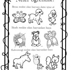 Hayvanlar ve Renkler Eğitsel Aktivite Çizim Çalışması