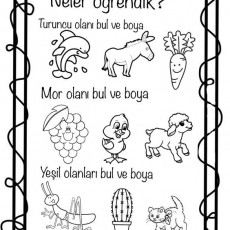 Renkleri Öğrenme Aktivite Kartı: Turuncu, Mor ve Yeşil Nesneler