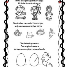 Eğitici Etkinlik: Renkler ve Civcivin Oluşum Süreci