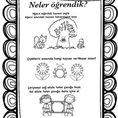 Eğitici Boyama Aktivitesi: Hayvanlar ve Renkler