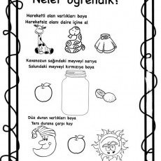 Hareketli ve Durgun Varlıkları Öğrenme Materyali