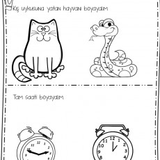 Kış Uykusuna Yatan Hayvanlar ve Zaman Öğrenme Etkinliği
