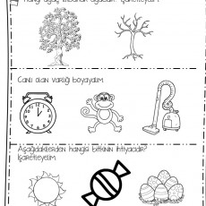 İlkbahar Ağacı, Canlı Varlıklar ve Bitki İhtiyacı Eğitimi