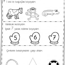 Eğitsel Etkinlik: Varlıkları İnceleyelim ve Sayıları Öğrenelim