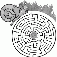 Snail Maze Game with Cabbage Center (0 - Snail)