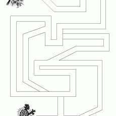 Maze Activity with Bird and Flower Illustrations