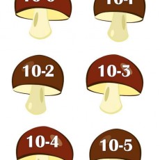 Mushrooms with Numerical Labels: 10-0, 10-1, 10-2, 10-3, 10-4, 10-5