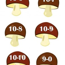 Mantar Temalı Sayı Grafiği: 10-6, 10-7, 10-8, 10-9, 10-10 ve 9-0