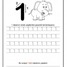 Bir (1) Rakamı ve Fil Sayma Etkinliği