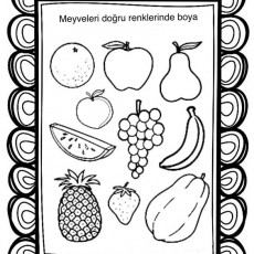 Meyve Boyama Etkinliği: 2 adet portakal, 1 adet elma, 1 adet armut, 1 adet şeftali, 1 adet karpuz, 1 salkım üzüm, 1 adet muz, 1 adet ananas, 1 adet çilek, 1 adet kabak ve 1 adet çizim üzerine 