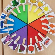 Renk ve Nesne Tanıma Aktivitesi: 8 Renkli Dilim ve Çeşitli Nesneler